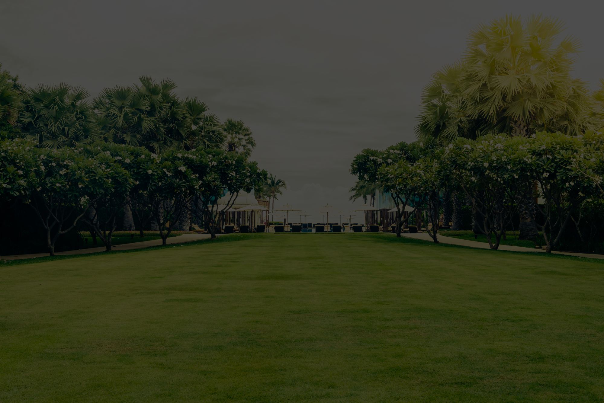 Expert Landscaping Buffalo NY